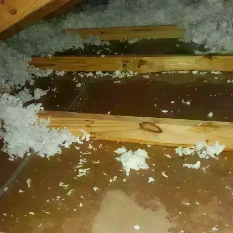 Attic Water Damage in Mineola, TX